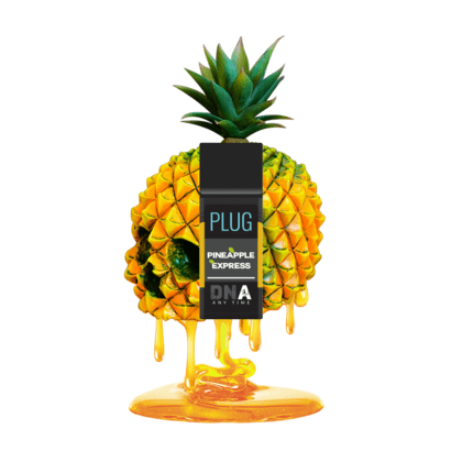 PLUG DNA: Pineapple Express