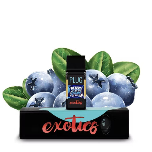 PLUG EXOTICS: Berry Gang